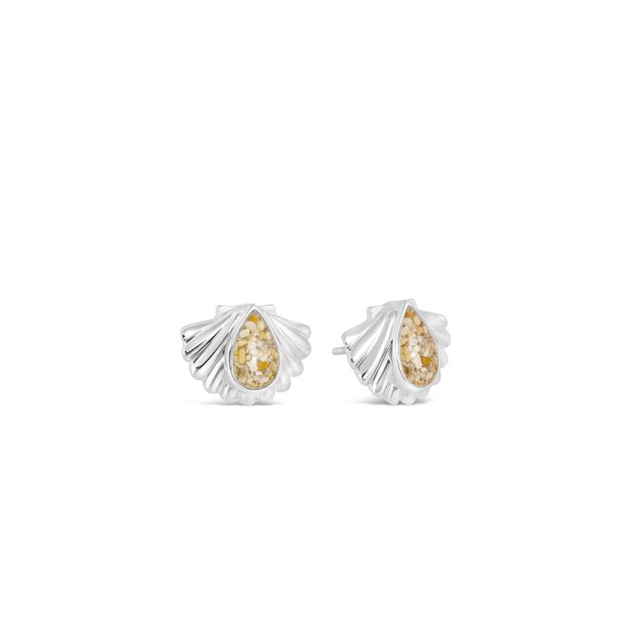 Coastal Shell Stud Earrings (FMB Shells)