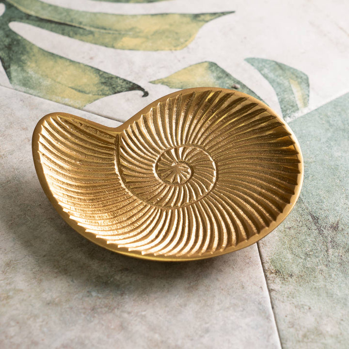 Golden Snail Tray