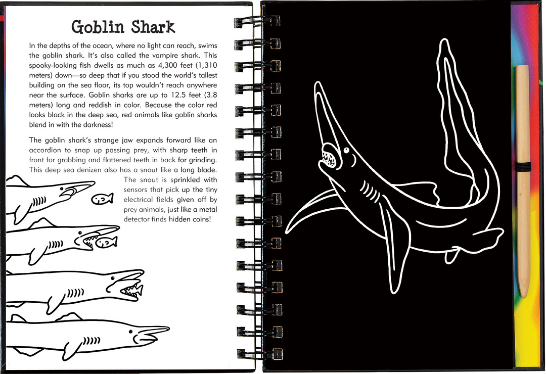 Scratch & Sketch™ Adventure Book