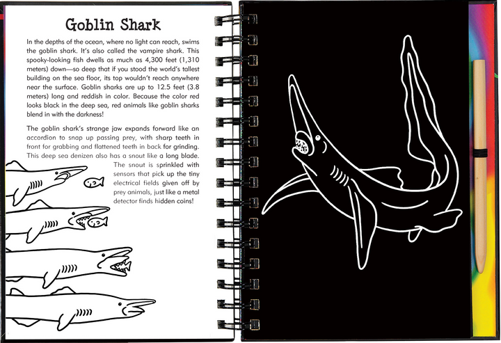 Scratch & Sketch™ Adventure Book