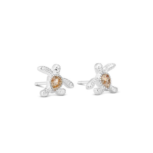 Delicate Dune Turtle Stud Earrings (FMB Shells)