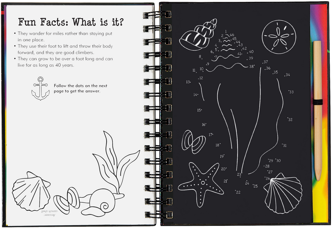 Scratch & Sketch™ Adventure Book