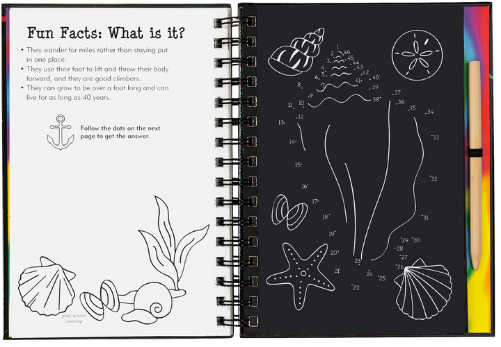 Scratch & Sketch™ Adventure Book