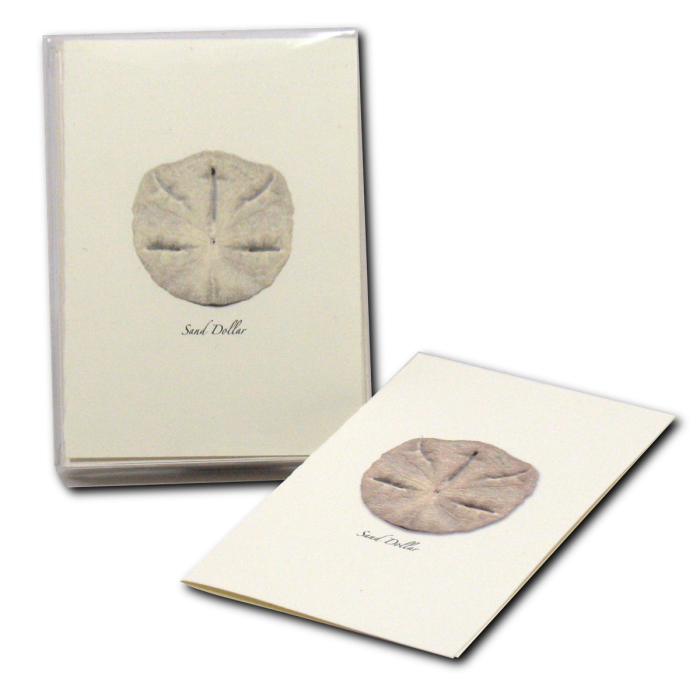 Illustrated Notecard Set