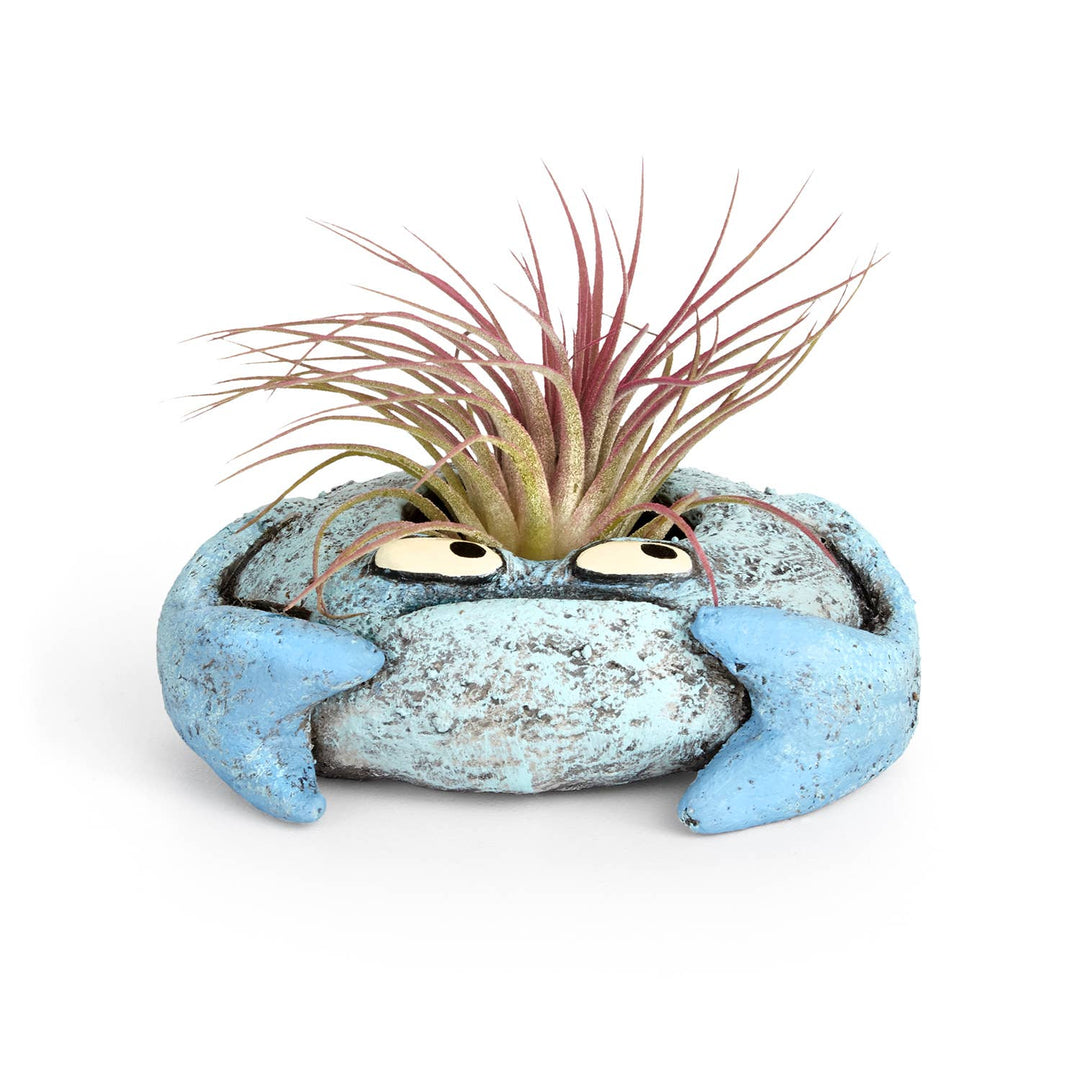 Blobhouse Planters