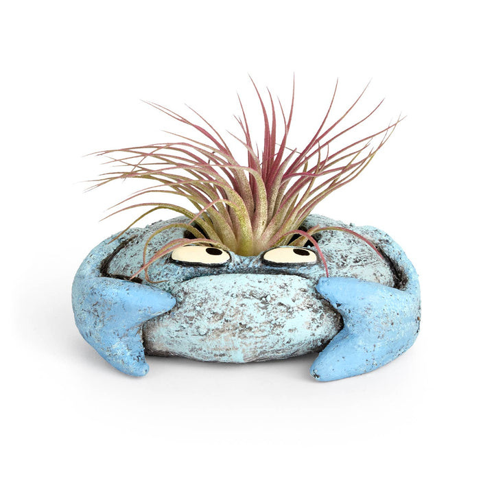 Blobhouse Planters