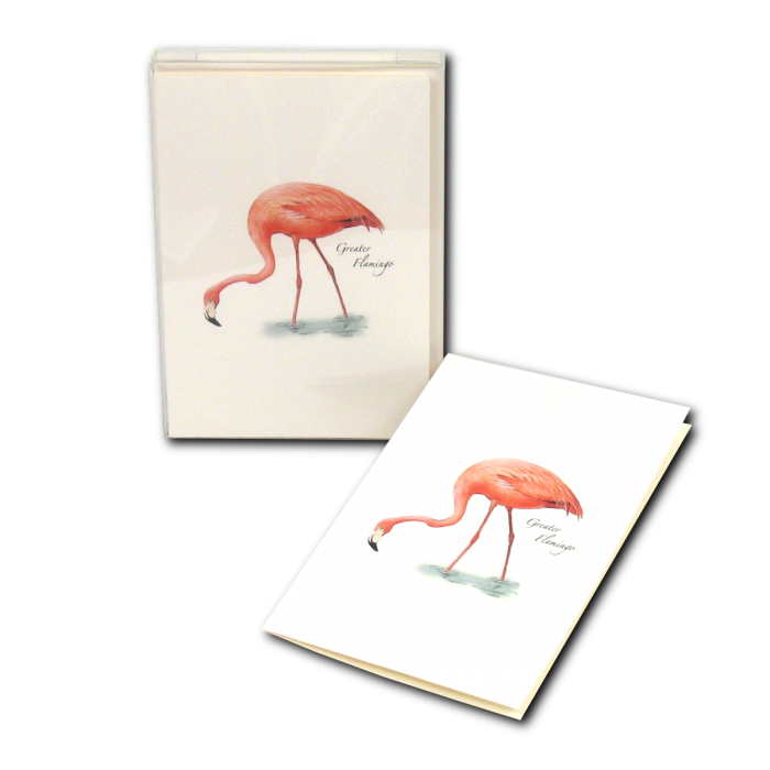 Illustrated Notecard Set