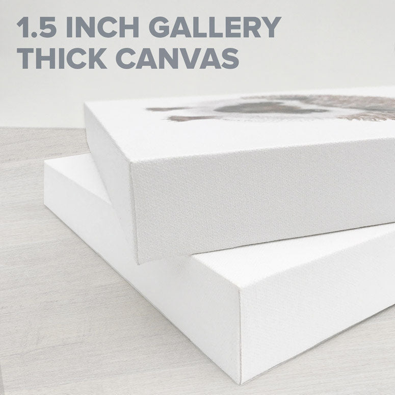 Four Sea Turtles Stretched Canvas