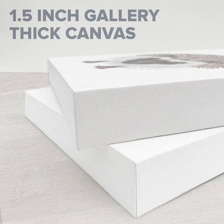 Four Sea Turtles Stretched Canvas