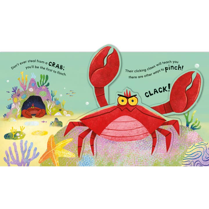 Don't Ever Smile at a Shark