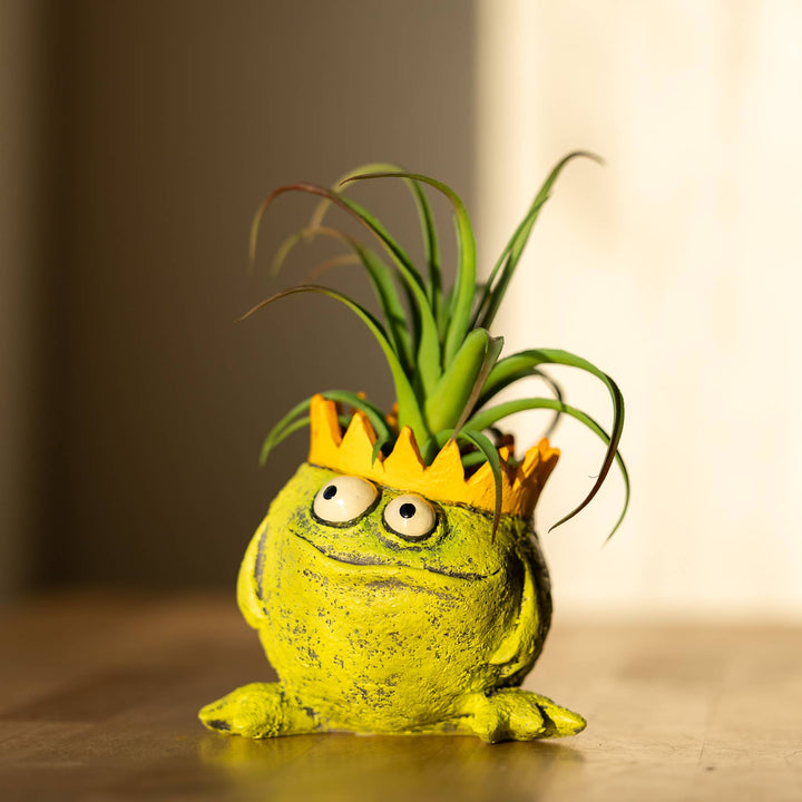 Blobhouse Planters