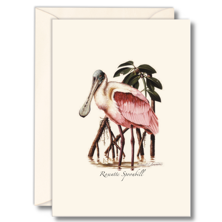 Illustrated Notecard Set