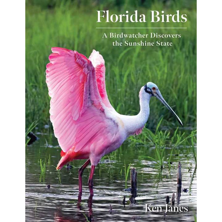 Florida Birds by Ken Janes