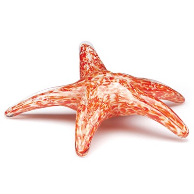 Glass Walking Starfish